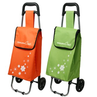 �̴� �ɹ��� ���� ĳ����