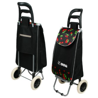 ���� ü�� ���� ĳ����