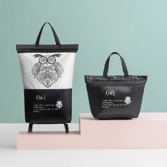 2�� ���� �Ϸ���Ʈ ĳ���� ��ٱ���