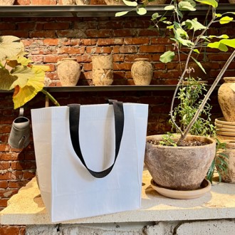 ���� ����������