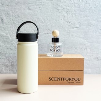 FINE ��Ʈ���� �������ǻ�� 120ml 1�� + ī�����Һ�����Ʈ D41