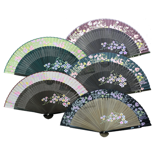 �ڽ����ڰ� �����ä