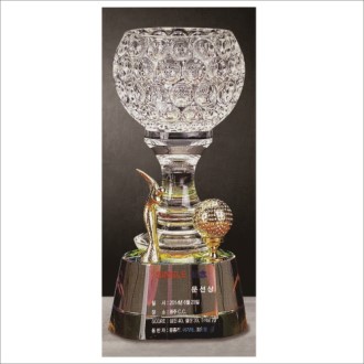 ũ����Ż ����� ���� Ʈ���� 247