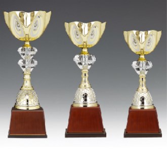 ��� ��ȸ �û� Ʈ���� ���� C �ֹ�����