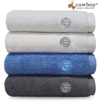 CB ī�캸�� ȣ��Ÿ�� ���� �ְ��޸� ������ 30�� 180g