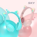 ��ī�� �� ŰƼ LED Ű�� û�º�ȣ �������� ����